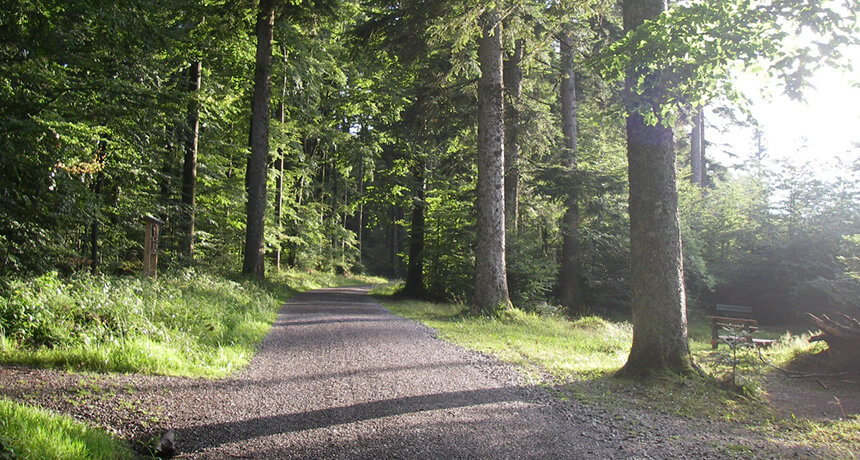 Angebote in Bad Wildbad und Umgebung